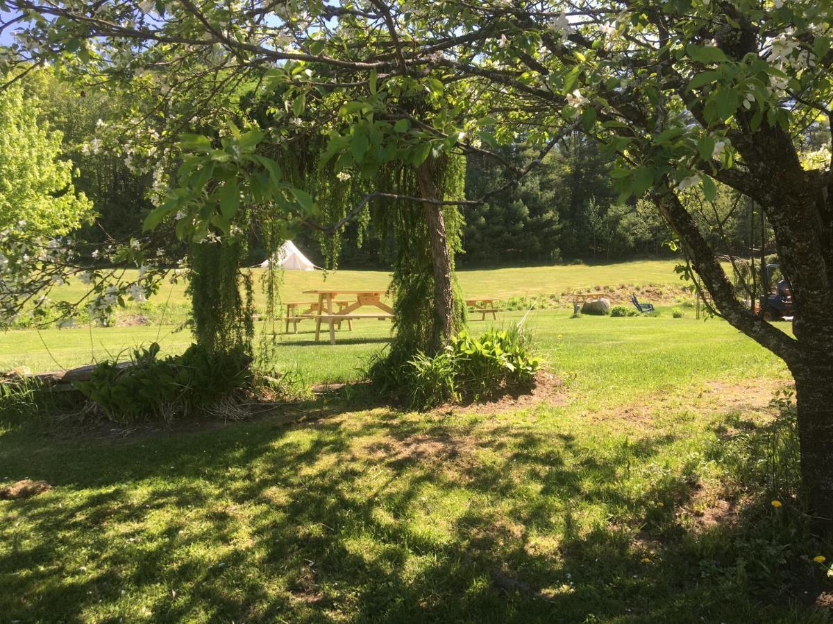 Craftsbury Farmhouse المظهر الخارجي الصورة